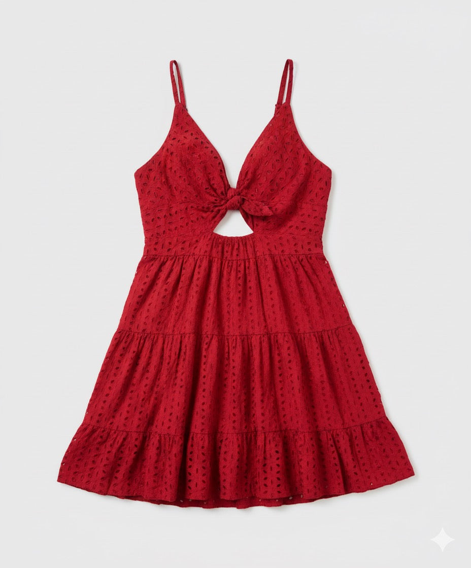 Riwa Red Chikan Dress